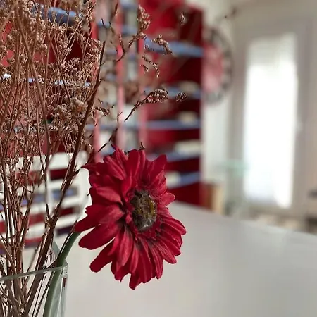 Apartamento Alborada Apartment